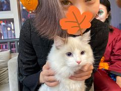 -帝京日语(春熙路旗舰校区)