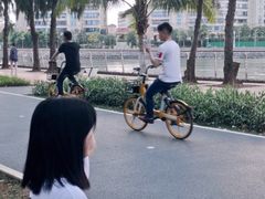 -万绿园