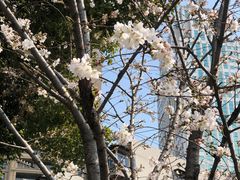 -西北湖绿化广场