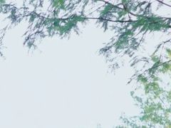 -贵阳市花溪国家城市湿地公园