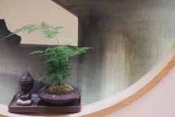 -一本X目奈子日式单根美睫专业店