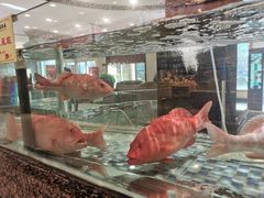 -锦昌酒楼(即墨店)