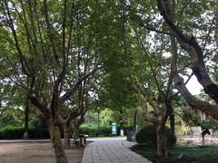 -南通博物苑-崇川人民公园