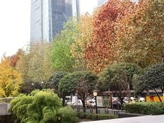 -重庆市江北嘴中央商务区中央公园