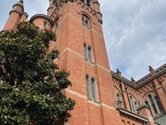 -上海佘山国家森林公园西佘山园