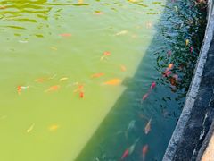 -揭阳学宫(榕城区)
