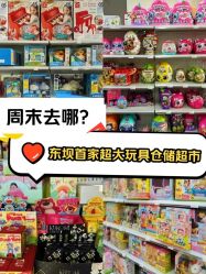 -玩动奇季品牌玩具超市