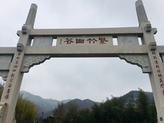 -竹子庵公园
