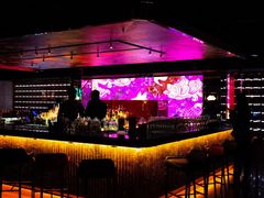 -罗斯福色戒酒吧(外滩店)