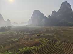 -明仕田园