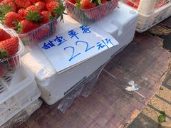 -灵山卫大集