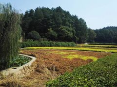 -韶山毛泽东同志故居