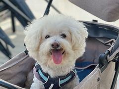 -小意思咖啡店(草桥店)