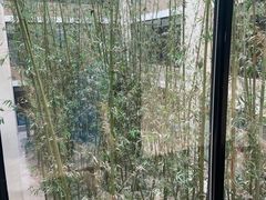 -真爱年华水疗健康运动中心(朱雀大街店)