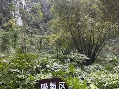 -百魔洞景区