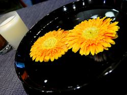 -THANN EXPRESS SPA