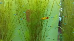 QQ图片20141212110329-小左美发