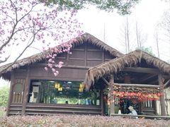 -绍兴鲁迅故里·沈园景区