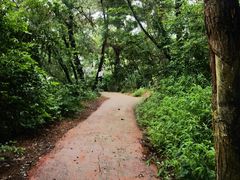 -芦仙山景区-飞越丛林探险乐园