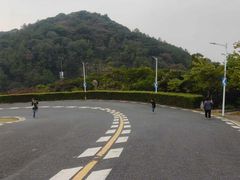 -黄埔油麻山森林公园