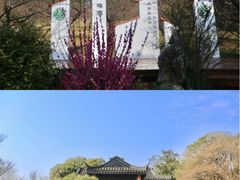 -无锡梅园公园