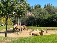 -北京野生动物园