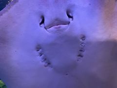 -太平洋海底世界