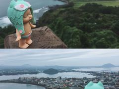 -涉地可支