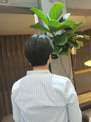 -阿莲新妆护肤造型