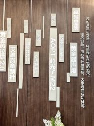 -加减美医美连锁品牌