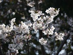 -龙美术馆(西岸馆)