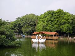 -深圳野生动物园