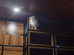 -咖法森林·咖啡  酒吧(天河店)