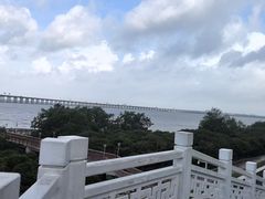 -宝安西湾红树林湿地公园