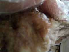 -潘太师炸鸡腿(中茵海华广场店)