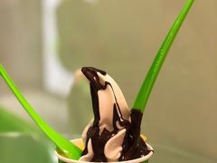 -Salud撒露欧洲冻酸奶(蓝色港湾店)