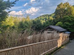 -岚山嵯峨野观光小火车