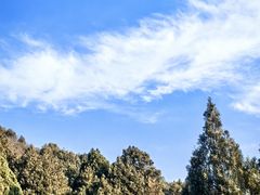 -佛慧山