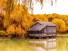 -东方之珠海鲜酒楼(南开店)