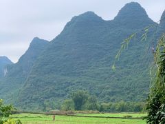 坐在店里就能看到的风景-村上春树