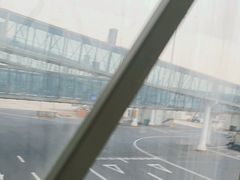 -郑州新郑国际机场-T2航站楼