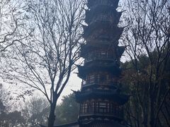 -上海佘山国家森林公园西佘山园