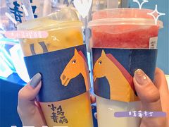 -春丽小马(济南恒隆广场店)