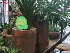 -老客家·客家菜(万达店)