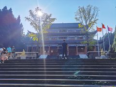 -武陵山森林公园