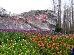 -东平国家森林公园