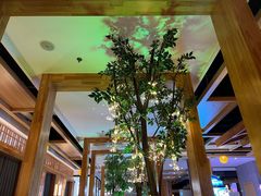 -星河湾温泉洗浴酒店