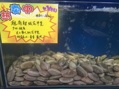 -蚝专家(北滘店)