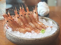 -月龍吟(朝龙汇店)