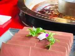 谭公鸭血-谭鸭血老火锅(漳州路店)